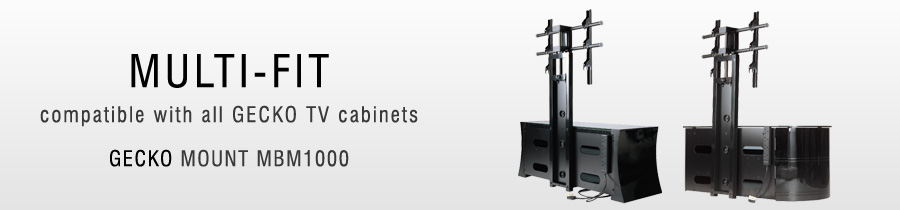 GeckoMBM1000-banner.jpg